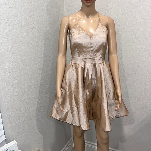 NWT- Beautiful Windsor nude colored designer cocktail dress - Picture 1 of 6